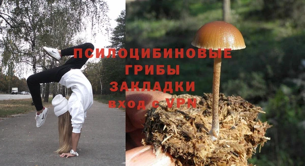 гидра Михайлов