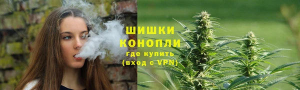 ГАЛЛЮЦИНОГЕННЫЕ ГРИБЫ Баксан