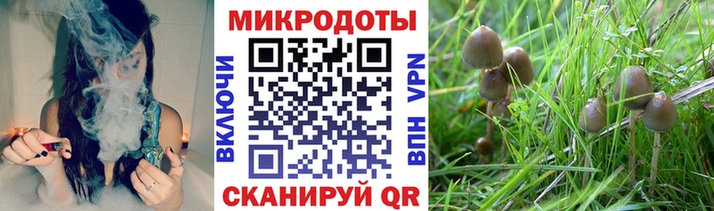 Галлюциногенные грибы Magic Shrooms гидра зеркало Белорецк